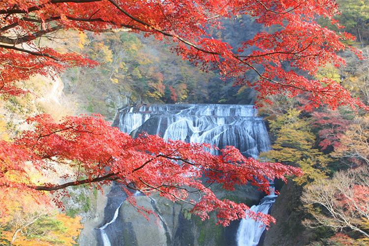 日帰り